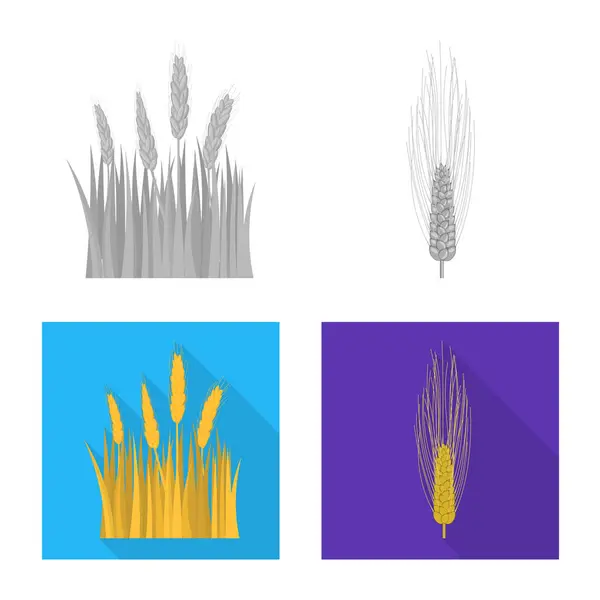 Wektor projekt rolnictwo i hodowla znak. Zestaw roślin i rolnictwo symbol giełdowy dla sieci web. — Wektor stockowy