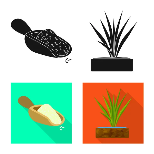 Projeto vetorial de cultura e logotipo ecológico. Coleta de colheita e ícone vetor de cozinha para estoque . — Vetor de Stock