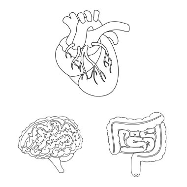 Anatomisi ve organ işareti vektör tasarımı. Web için anatomi ve tıbbi stok sembolü koleksiyonu.