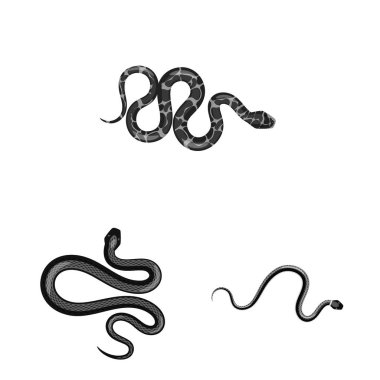 Yalıtılmış nesne zarar ve ısırık simgesi. Hisse senedi için zarar ve sürüngen vektör simge kümesi.