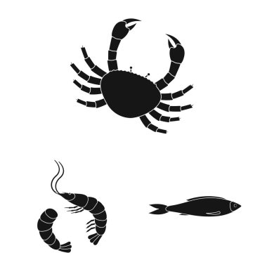 Pazar ve deniz logosu vektör tasarımı. Piyasa ve deniz stok vektör illüstrasyon koleksiyonu.