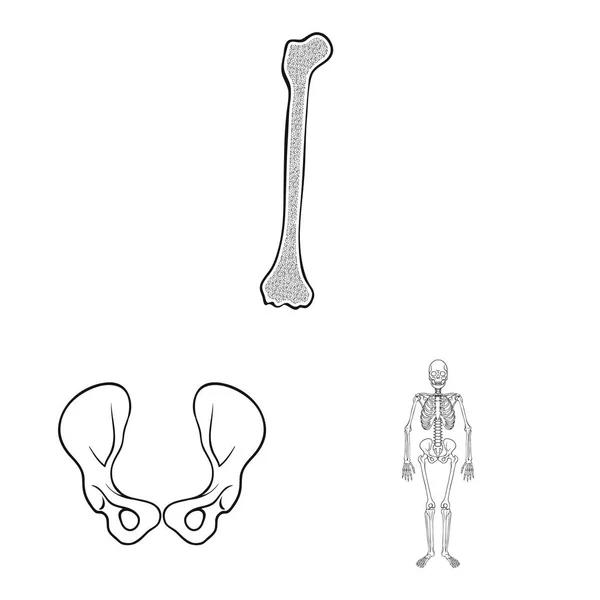 Elkülönített objektum orvostudomány és a klinika logó. Gyógyszer és orvosi tőzsdei szimbólum a web. — Stock Vector