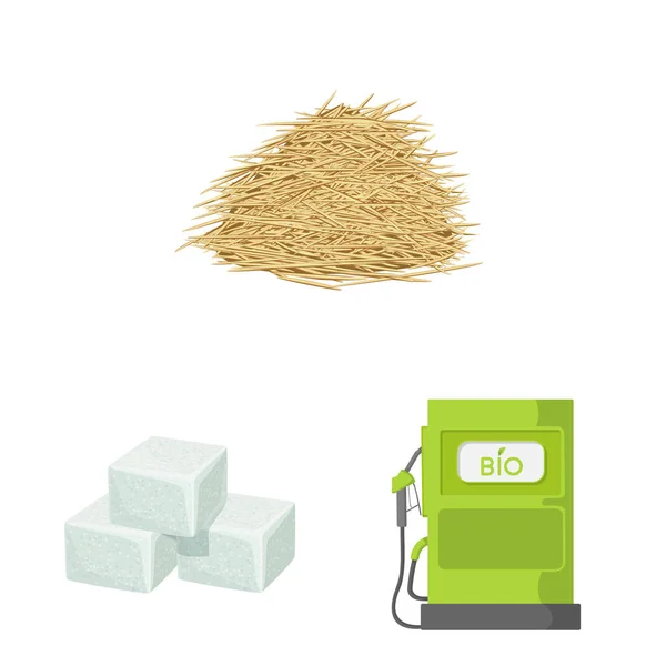 Projeto vetorial de cana-de-açúcar e logotipo da cana. Conjunto de ícone de vetor de cana e campo para estoque . — Vetor de Stock
