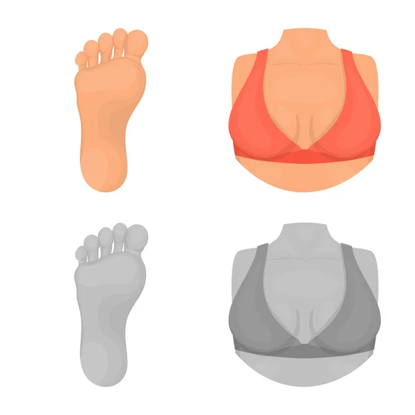 Ilustração vetorial do corpo e símbolo da parte. Conjunto de corpo e anatomia símbolo de estoque para web . —  Vetores de Stock