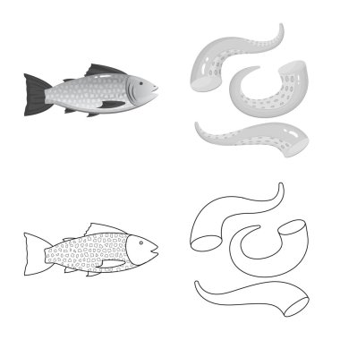 Taze ve Restoran simge vektör tasarımı. Hisse senedi için taze ve deniz vektör simge topluluğu.