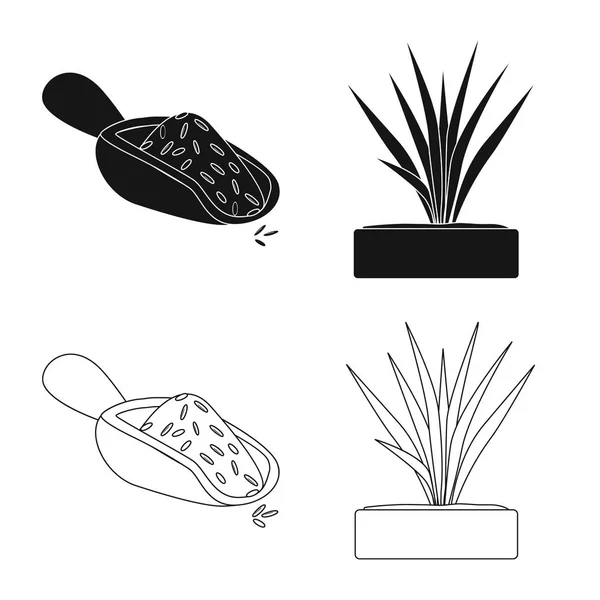 Objeto aislado de cultivo y símbolo ecológico. Conjunto de símbolo de cosecha y caldo de cocina para web . — Vector de stock