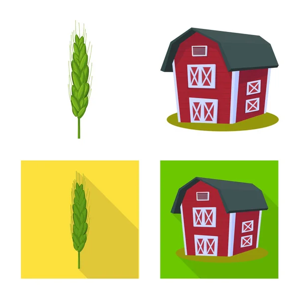 Векторная иллюстрация сельского хозяйства и сельскохозяйственного символа. Коллекция векторной иллюстрации сельского хозяйства и растительного фонда . — стоковый вектор