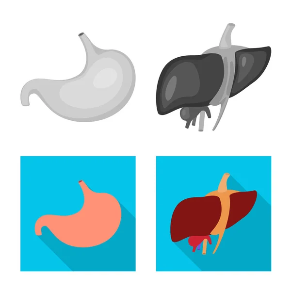 Diseño vectorial de la biología y el icono científico. Colección de biología y símbolo de stock de laboratorio para web . — Archivo Imágenes Vectoriales