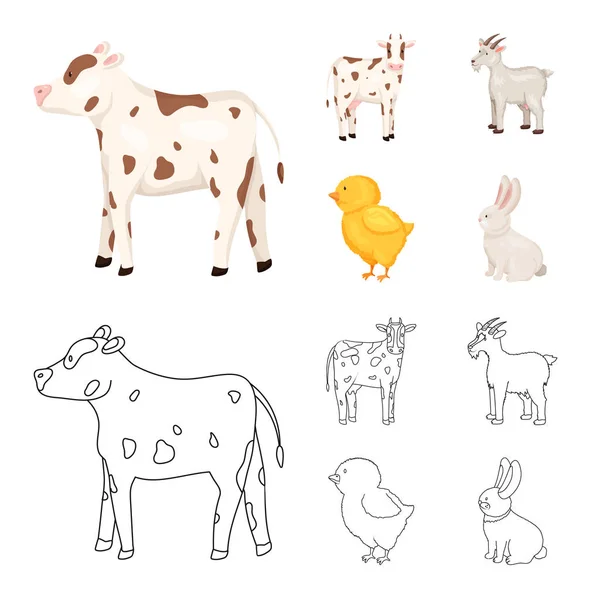 Ilustración vectorial del logotipo de cría y cocina. Conjunto de crianza y vector orgánico icono para stock . — Vector de stock