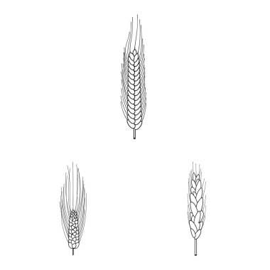 Tarım ve işareti tarım vektör tasarımı. Tarım ve bitki hisse senedi simgesi için web topluluğu.