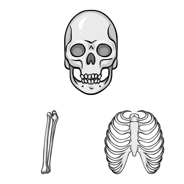 Diseño vectorial de biología y símbolo médico. Conjunto de símbolo de stock de biología y esqueleto para web . — Vector de stock