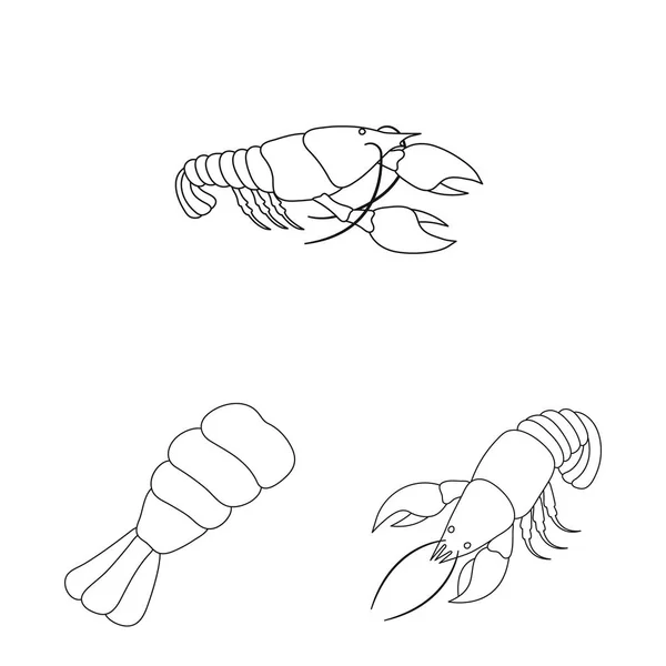 Objet isolé de nourriture et symbole de la mer. Illustration vectorielle de l'ensemble des denrées alimentaires et des animaux . — Image vectorielle