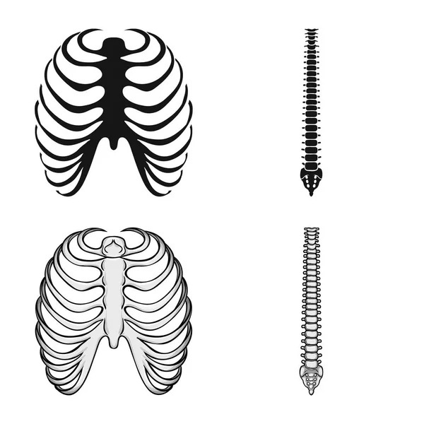 Desenho vetorial da medicina e símbolo da clínica. Conjunto de medicina e vetor médico ícone para estoque . —  Vetores de Stock