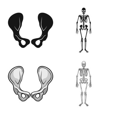 Tıp ve klinik işareti yalıtılmış nesne. İlaç ve tıbbi hisse senedi vektör çizim koleksiyonu.