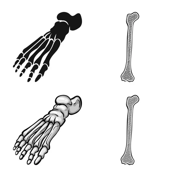 Geïsoleerde object van geneeskunde en kliniek symbool. Set van geneeskunde en medische vector pictogram voor voorraad. — Stockvector