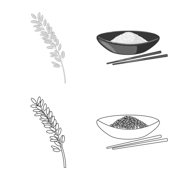 Vektorillustration von Pflanzen und ökologischem Logo. eine Reihe von Vektorillustrationen für Getreide und Kochpflanzen. — Stockvektor