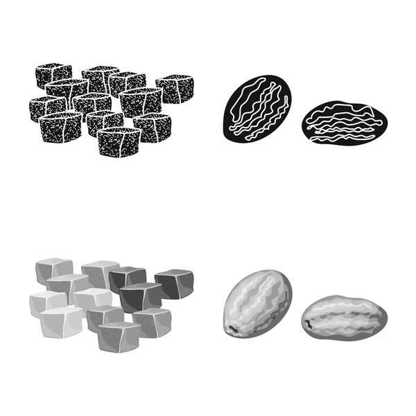 Ilustración vectorial de alimentos e icono crudo. Conjunto de alimentos y naturaleza vector de stock ilustración . — Archivo Imágenes Vectoriales