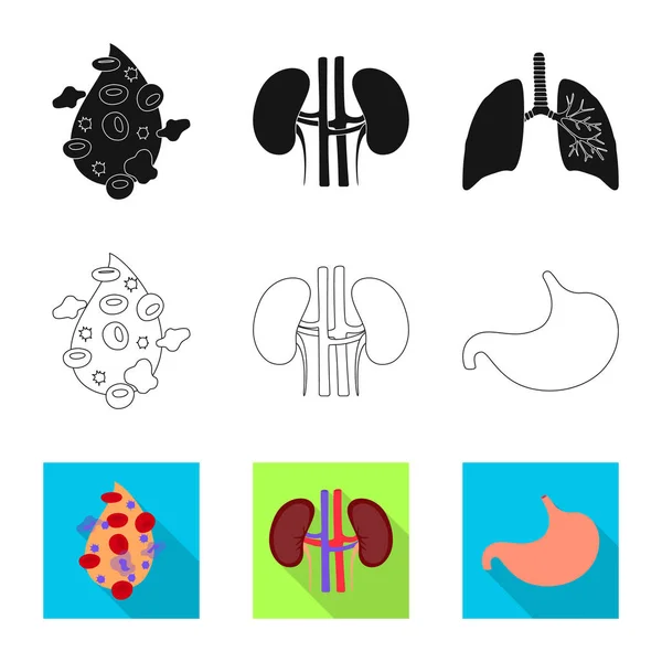 Objeto isolado de biologia e signo científico. Coleta de biologia e símbolo de estoque de laboratório de web . — Vetor de Stock