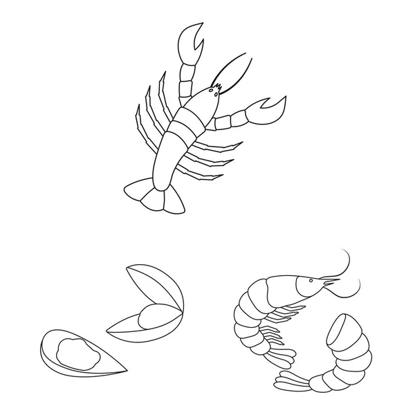 Ilustración vectorial de comida y símbolo del mar. Conjunto de alimentos y vector saludable icono para la acción . — Archivo Imágenes Vectoriales