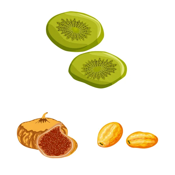 Izolovaný objekt ovoce a sušených symbol. Sběr ovoce a potravin vektorové ikony pro stock. — Stockový vektor