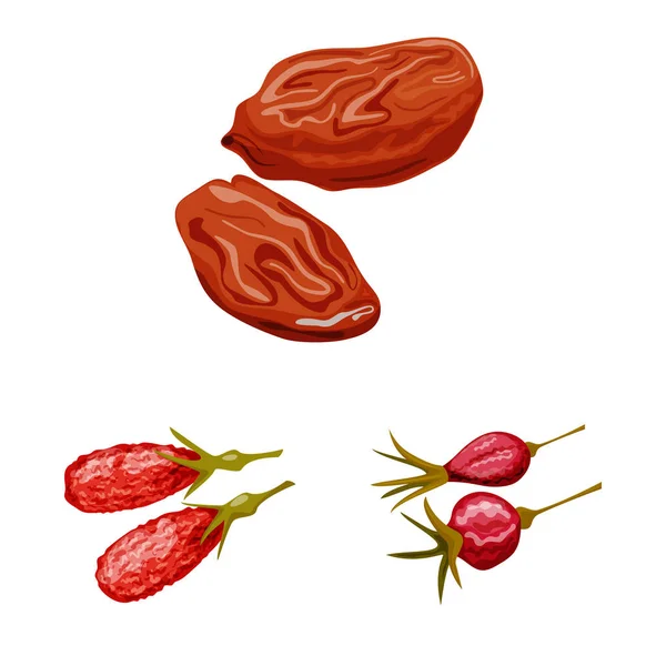 Diseño vectorial de fruta e icono seco. Recogida de fruta y alimento símbolo de reserva para la web . — Vector de stock