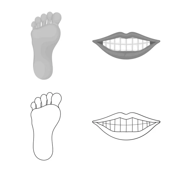 Vectorillustratie van lichaam en deel pictogram. Set van lichaam en anatomie voorraad vectorillustratie. — Stockvector