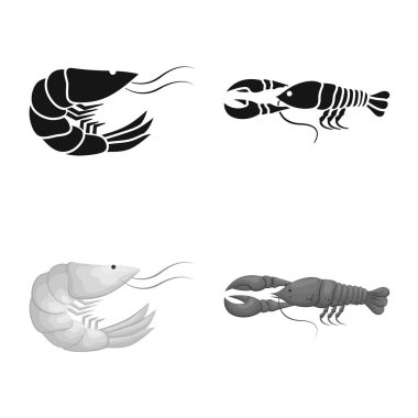 Meze ve okyanus simge vektör tasarımı. Meze koleksiyonu ve hisse senedi için incelik vektör simgesi.