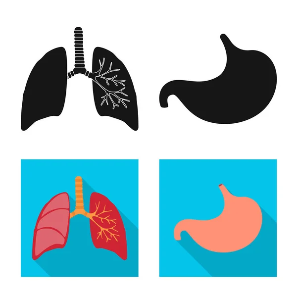 Design vetorial de biologia e ícone científico. Coleção de biologia e ícone de vetor de laboratório para estoque . — Vetor de Stock