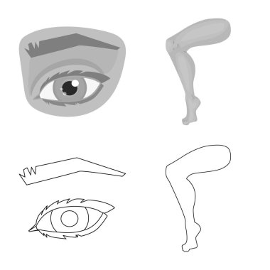 Vücut ve bölümü simgesi yalıtılmış nesne. Vücut ve anatomi hisse senedi simgesi için web topluluğu.