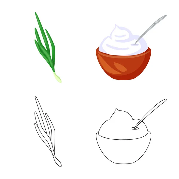 Diseño vectorial de sabor y signo de producto. Set de sabores y caldo de cocina símbolo para web . — Vector de stock