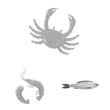 Deniz ürünleri ve sağlıklı sembolü vektör tasarımı. Web için deniz ürünleri ve okyanus stok sembolü seti.