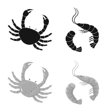 Taze ve restoran simge vektör tasarımı. Web için taze ve deniz hisse senedi simgesi kümesi.