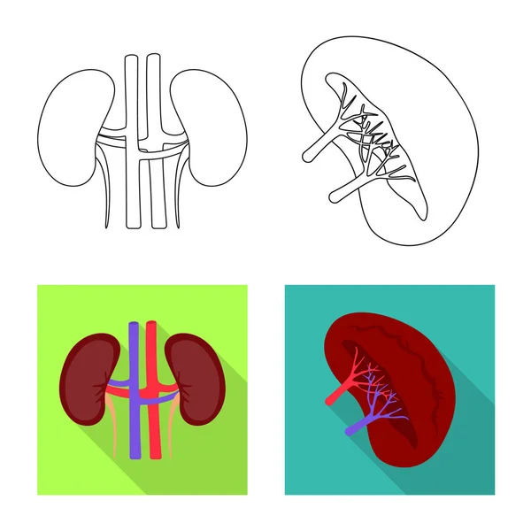 Objeto aislado de biología y logotipo científico. Conjunto de biología e ilustración del vector de stock de laboratorio . — Archivo Imágenes Vectoriales