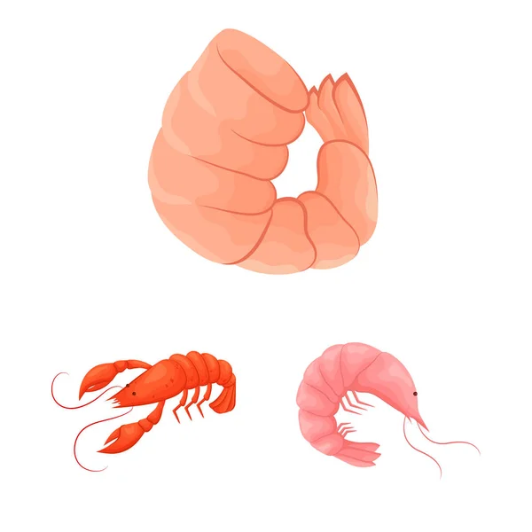 Vektor ilustrasi udang dan kepiting tanda. Koleksi gambar udang dan vektor laut . - Stok Vektor