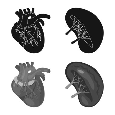 Biyoloji ve bilimsel simge vektör tasarımı. Biyoloji ve laboratuvar hisse senedi simgesi için web topluluğu.