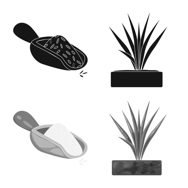 Objeto aislado de cultivo y símbolo ecológico. Conjunto de cultivo y cocina icono de vector para stock . — Vector de stock