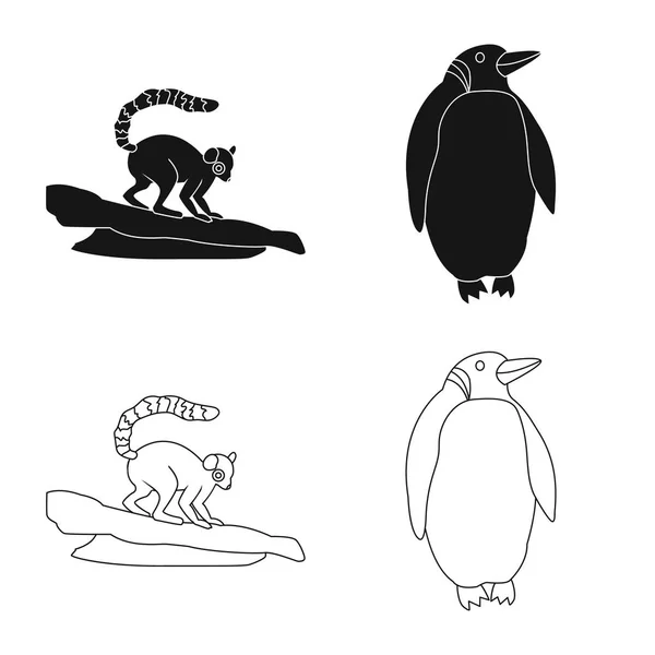 Illustration vectorielle de la nature et logo amusant. Collection de la nature et de divertissement stock symbole pour le web . — Image vectorielle