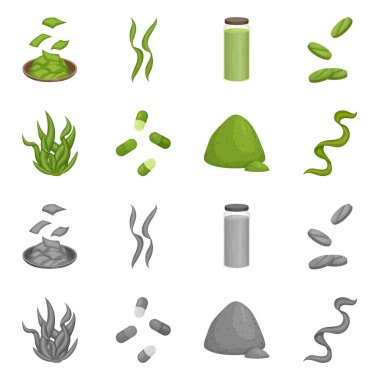 Protein ve deniz simge vektör Illustration. Protein ve hisse senedi için doğal vektör ikon koleksiyonu.