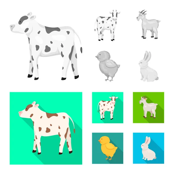 Vector illustration of breeding and kitchen icon. Collection of breeding and organic stock symbol for web. — Stock Vector