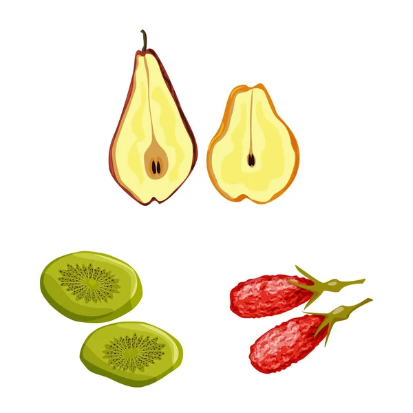 Objeto aislado de fruta e icono seco. Conjunto de ilustración de vectores de frutas y alimentos . — Vector de stock