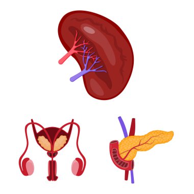 Anatomi ve organ logo vektör Illustration. Anatomi ve hisse senedi için tıbbi vektör ikon koleksiyonu.