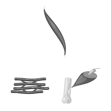 İnsan izole nesne ve vücut oturum açın. İnsan ayarla ve hücreleri hisse senedi için simge vektör.