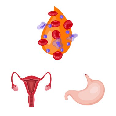 Anatomisi ve organ işareti vektör tasarımı. Stok için anatomi ve tıbbi vektör simgesi koleksiyonu.