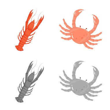 Taze ve restoran simge vektör tasarımı. Hisse senedi için taze ve deniz vektör simge topluluğu.