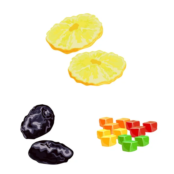 Conception vectorielle de fruits et symbole séché. Collection d'icônes vectorielles de fruits et d'aliments pour stock . — Image vectorielle