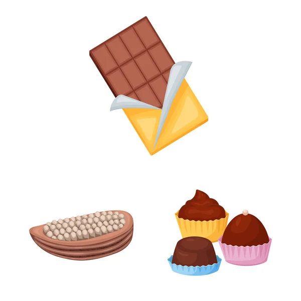 Isolerat objekt av kakao och bönor tecken. Uppsättning av kakao och sötma vektor ikon för lager. — Stock vektor