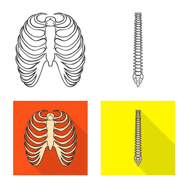 Vektor design av medicin och klinik-logotypen. Medicin och medicinsk vektor ikonen för lager. — Stock vektor