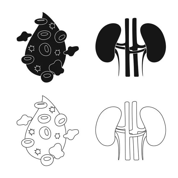 Vektorillustration av biologi och vetenskaplig ikon. Samling av biologi och laboratorium aktiesymbol för webben. — Stock vektor