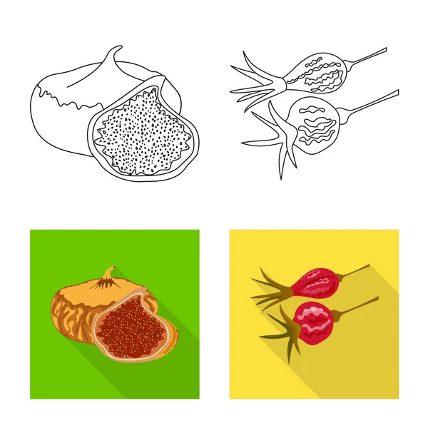 Vektorová design potravin a surovin ikonu. Sbírka potravin a povaze akcií vektorové ilustrace. — Stockový vektor