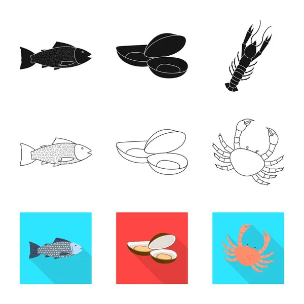 Ilustración vectorial del símbolo fresco y del restaurante. Colección de material fresco y marino símbolo para la web . — Vector de stock